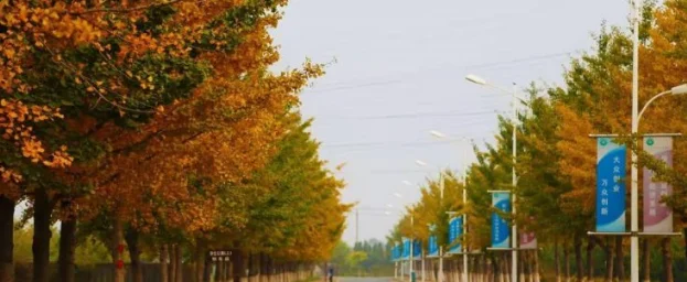 辽宁农职院2026年单招报考策略