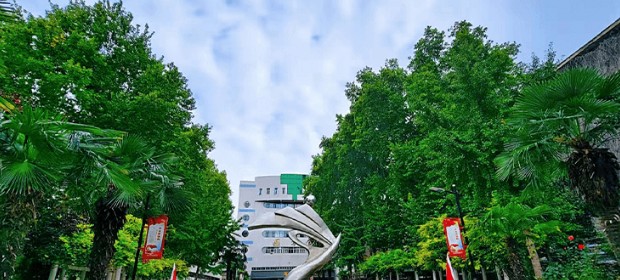 河南工业贸易职业学院2025单招分数线：高中生最低266分