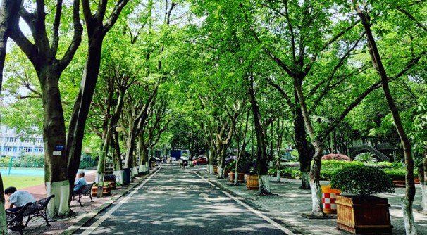 重庆电力高专校园风景