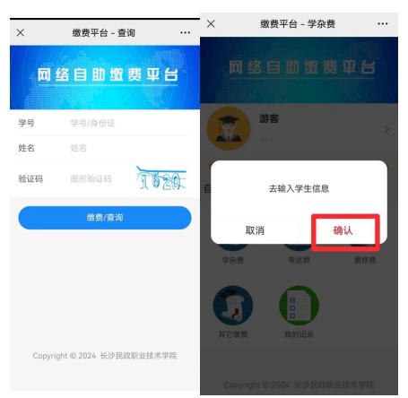 长沙民政职业学院单招缴费系统