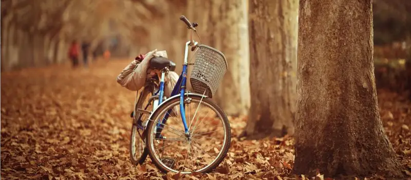 西安交通大学校园风景