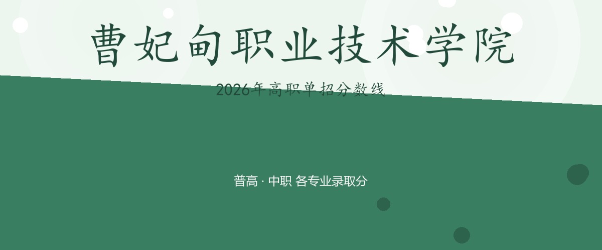 曹妃甸职业技术学院(中外合作办学)2026单招分数线